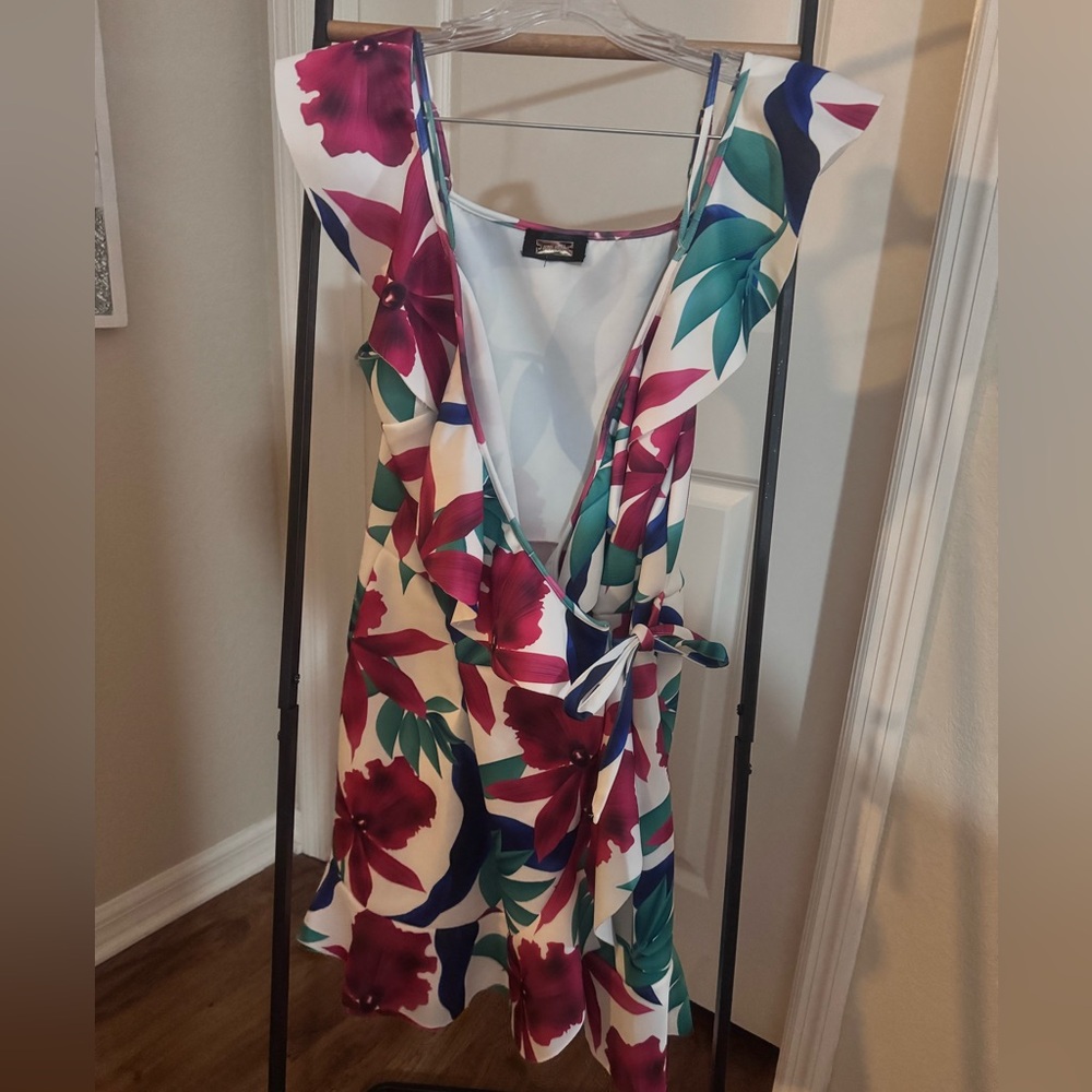Alexia Admor size 14 dress. Like new. Wore once on vacation